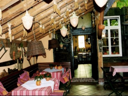 Foto: Blauer Aff