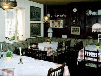 Foto: Blauer Aff
