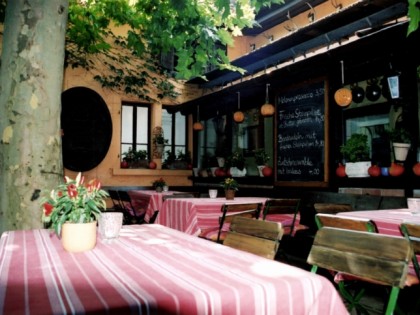 Foto: Blauer Aff