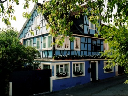 Foto: Blauer Aff