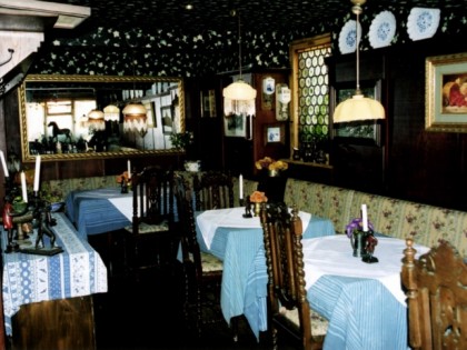 Foto: Blauer Aff
